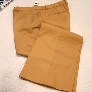 NWT Gap Modern Boot Beige Pants. 16L